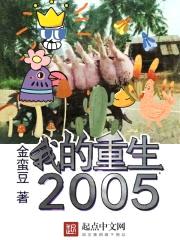 我的重生2005