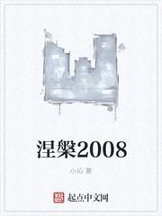 涅槃2008阅读