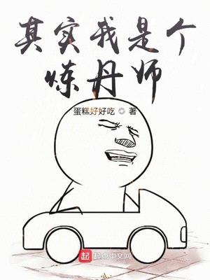 其实我是个炼丹师吧