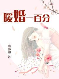 暖婚一百分 小说